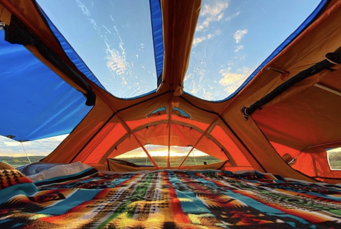 Treeling Interior Skylights