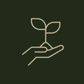 Outline of a hand holding a seedling on a dark green background