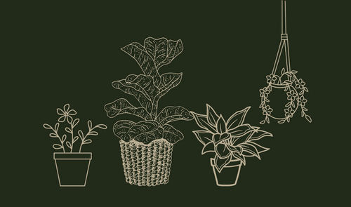 Outline of four potted houseplants, three standing and one hanging from up high, on a dark green background