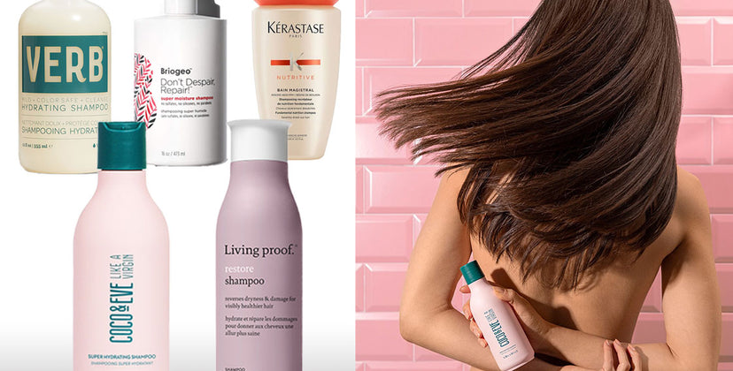 Symptomer Synslinie teori The 10 Best Shampoos For Dry Hair - Hydrating Shampoos | Coco & Eve