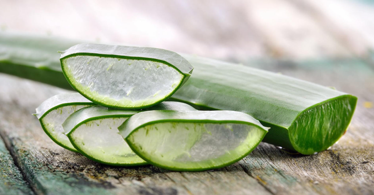 The Benefits Of Eating Aloe Vera Aloecure 5034