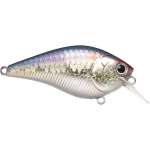 Bagley Bang O Lure Spin Tail 5.25'' –