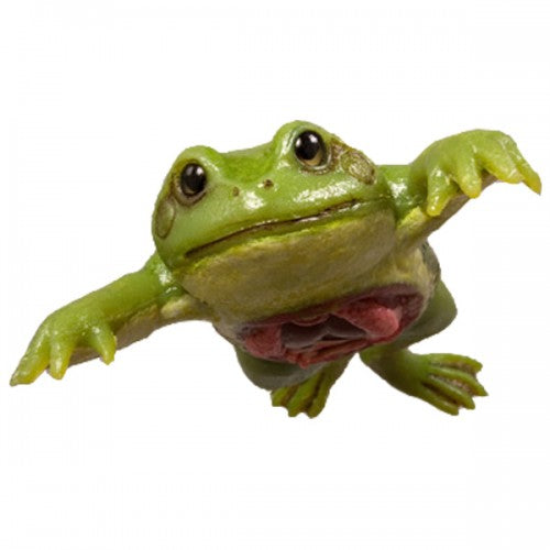 Realistic Frog Models - Female – The Science Bank