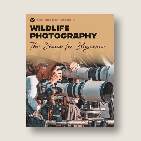 Cover Image of ebook Wildlife Photography: The Basics for Beginners