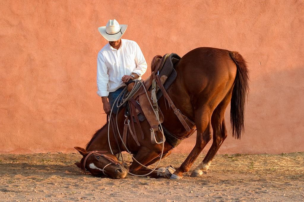 Sparrow and Her Cowboy Richard, San Marcos, New Mexico