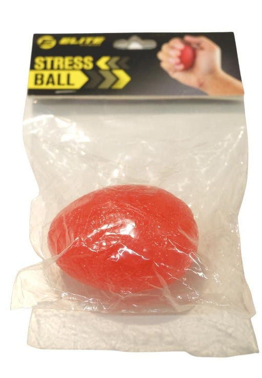 Anti Burst Gym Ball - The Landmark Official Store