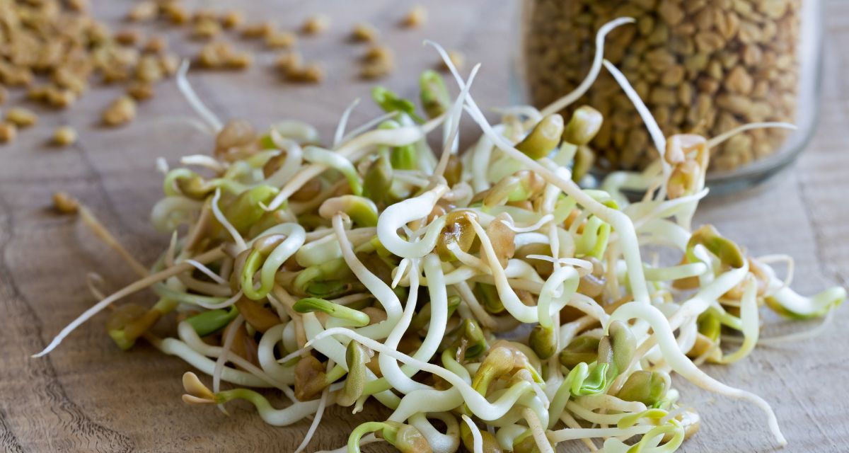 Fenugreek Seed Sprouts Salad