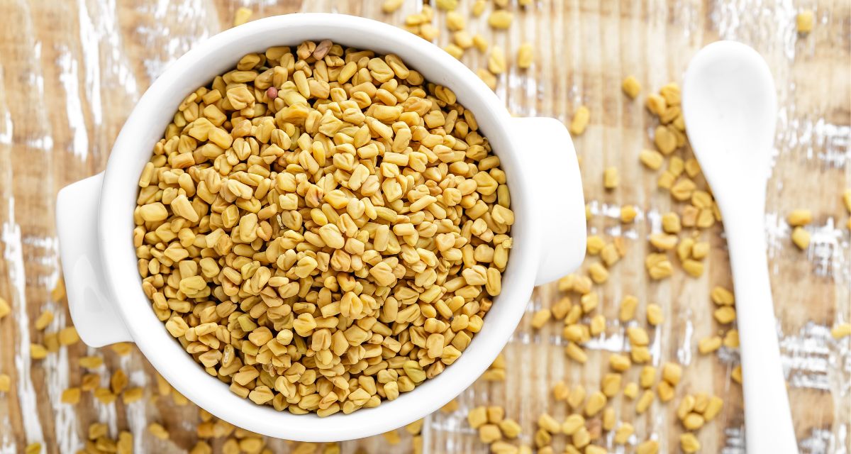 Fenugreek seeds uses