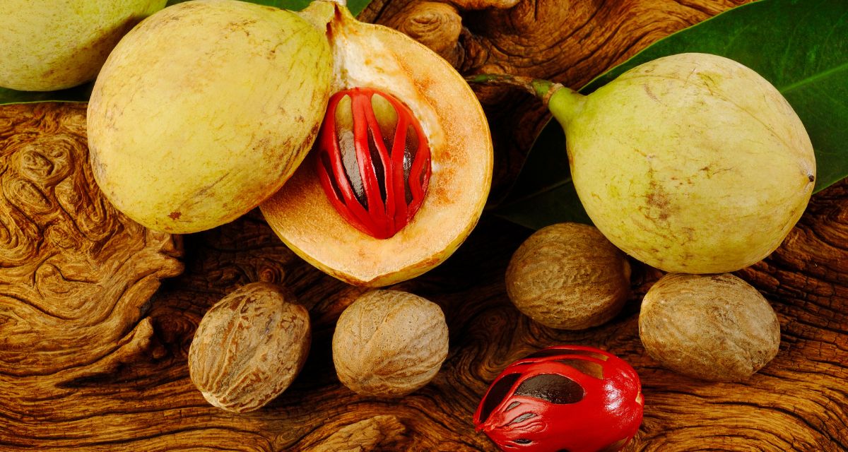 Mace spice vs. nutmeg spice: differences and similarities