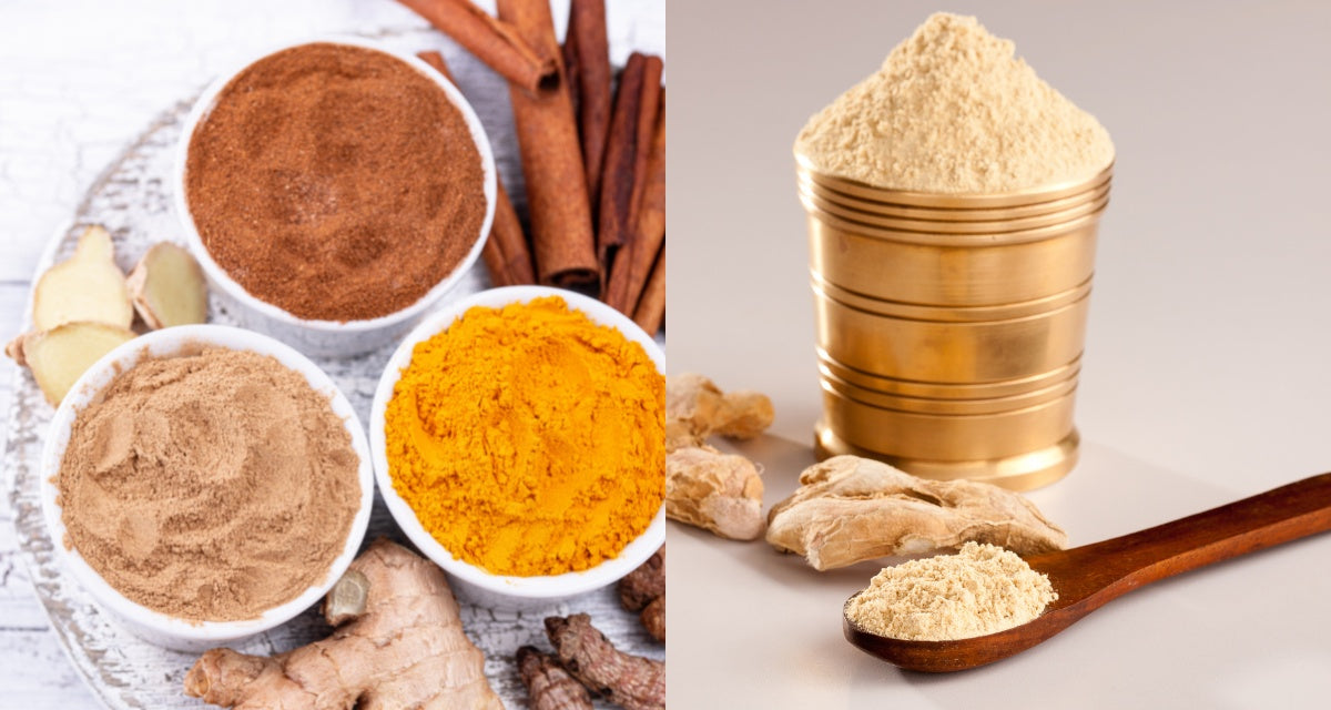 Best ginger powder substitutes for your recipes