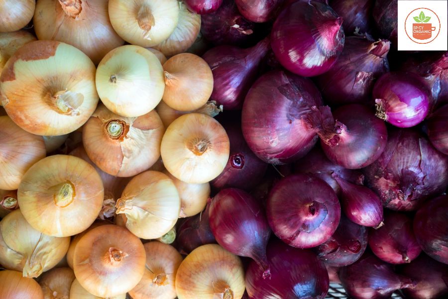 The Many Varieties of Onions-spicyorganic.com