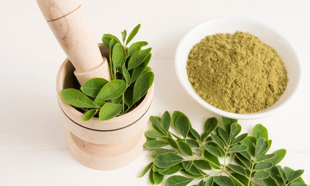 Moringa benefits