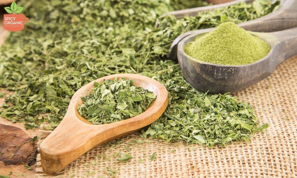 Moringa Powder Organic