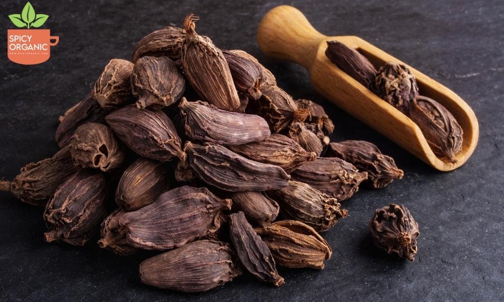 What is black cardamom