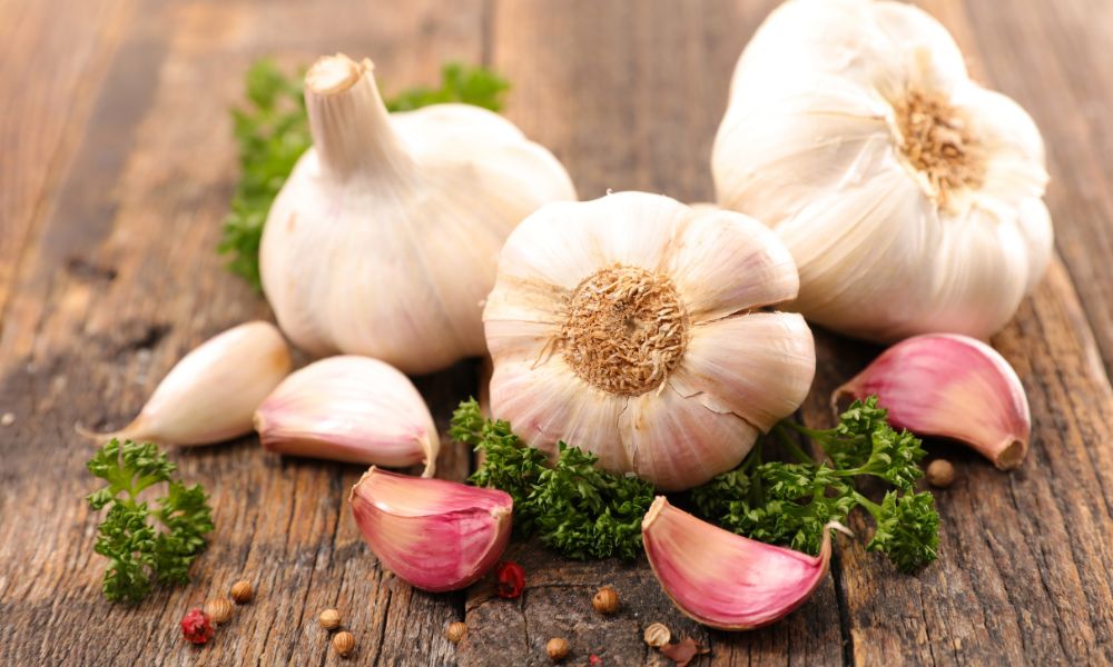 garlic health advantage 