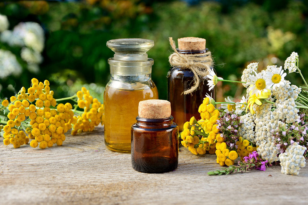 Сolorful medical herbs with bottles of oil and tinctures