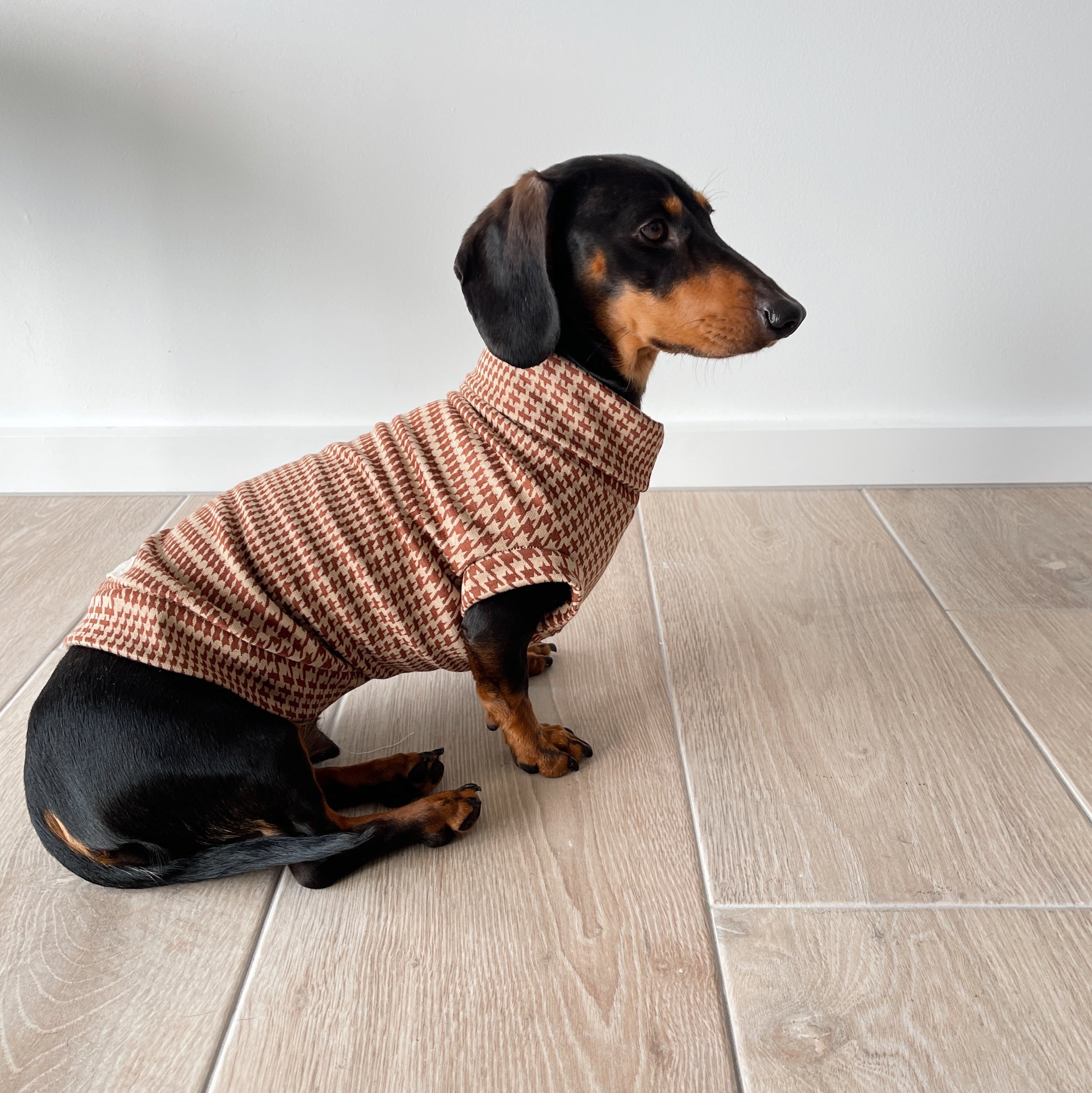 dachshund turtleneck