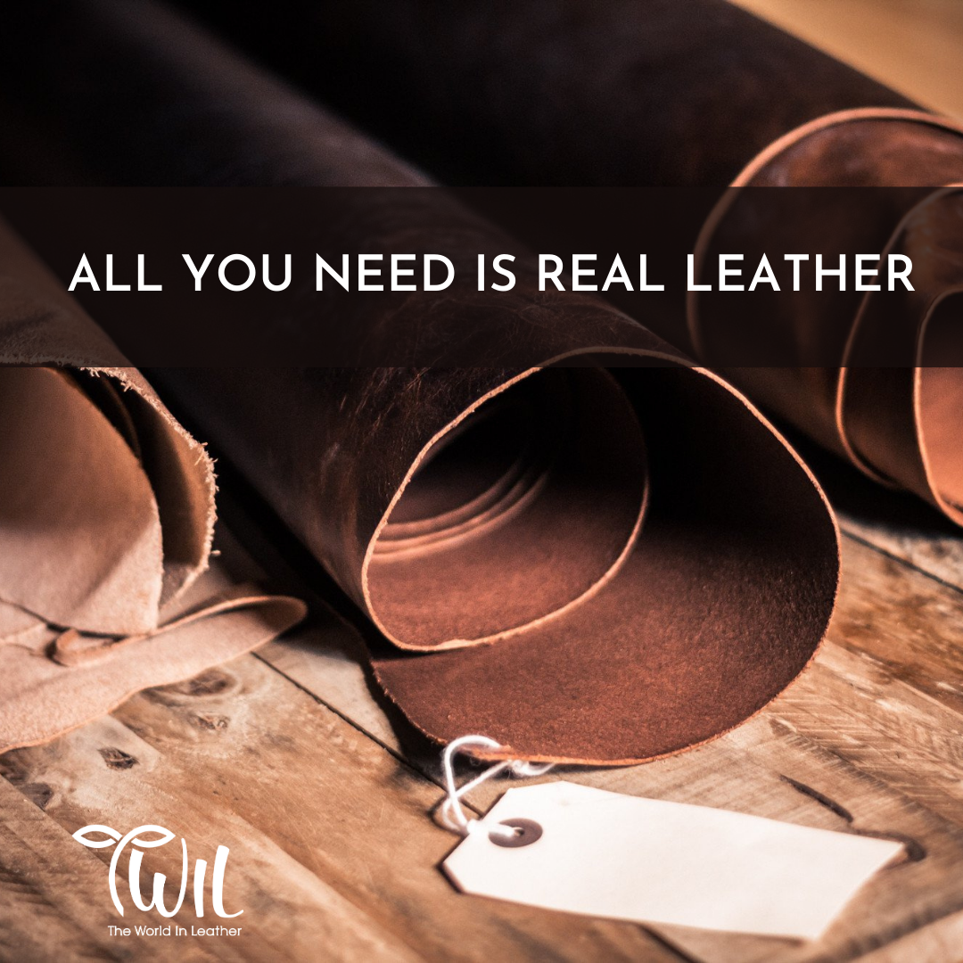 TWIL The World In Leather