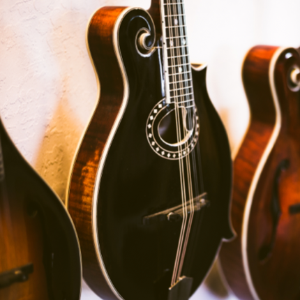 https://cdn.shopify.com/s/files/1/0503/4947/3991/collections/collection-mandolin.png?v=1619550631