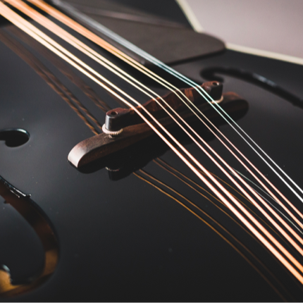 Octave Mandolin – Gryphon Strings