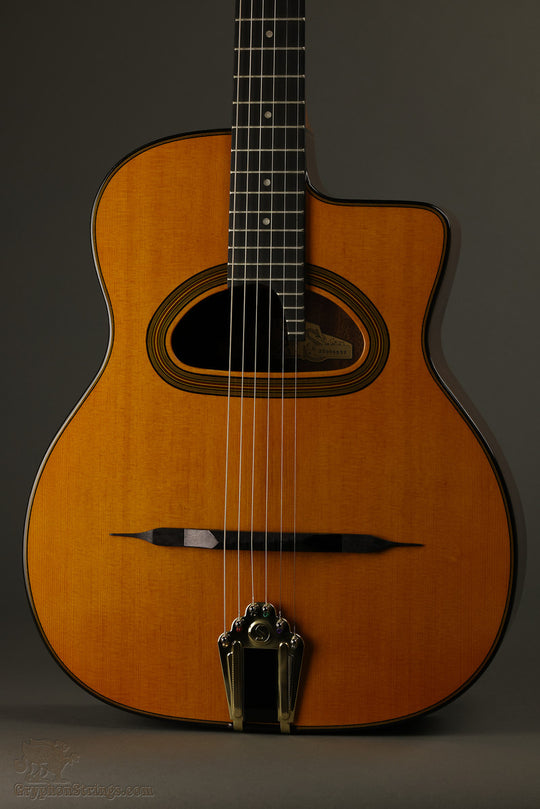 Acoustic Guitars – Page 3 – Gryphon Strings