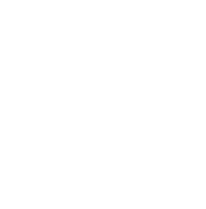 The Gryphon Advantage