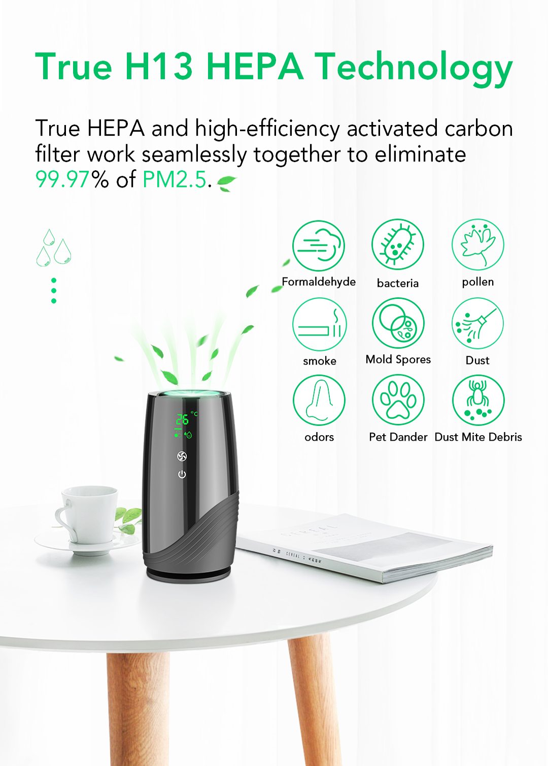 Air Purifier D01 - True HEPA Technology