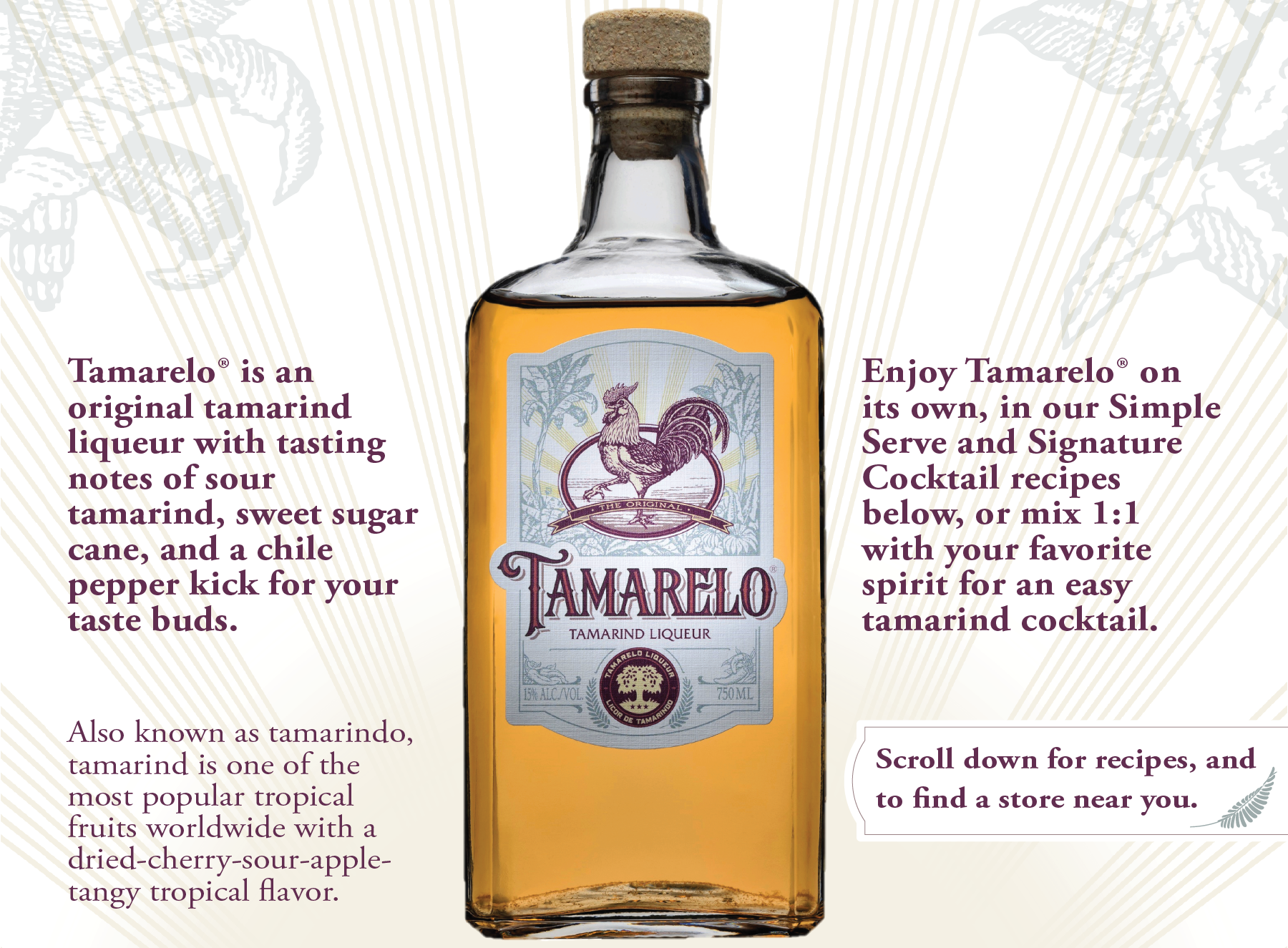 Tamarelo The First American Made Tamarind Liqueur Tamarelo The First American Made Tamarind Liqueur