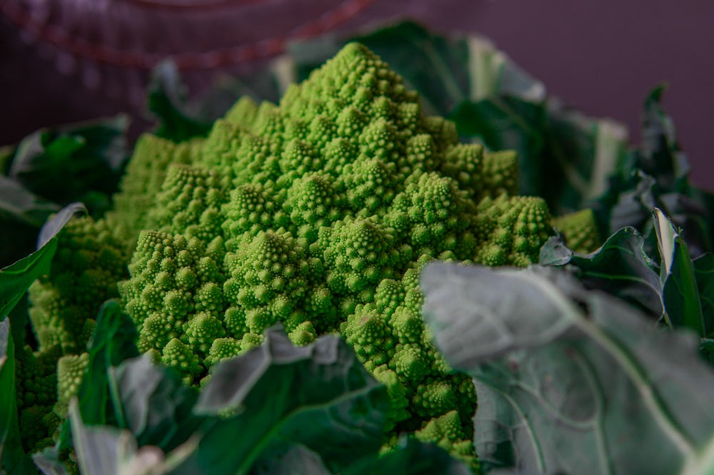 close-up of a romanesco cabbage