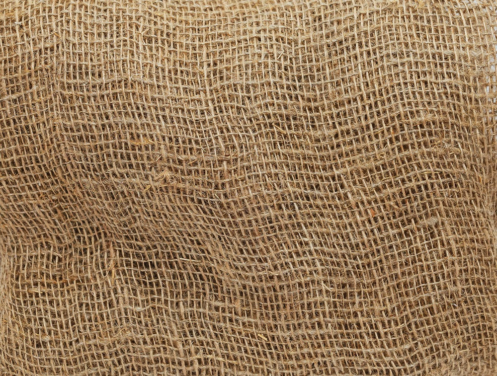 raw hemp fibers