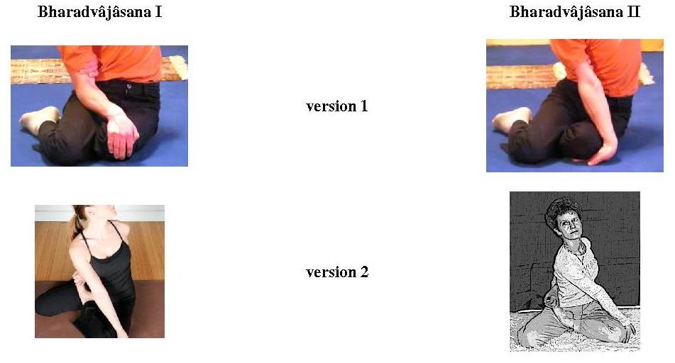 the two variations of the two series of the lark posture