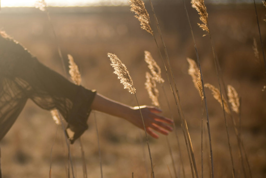 woman's hand stroking the reeds