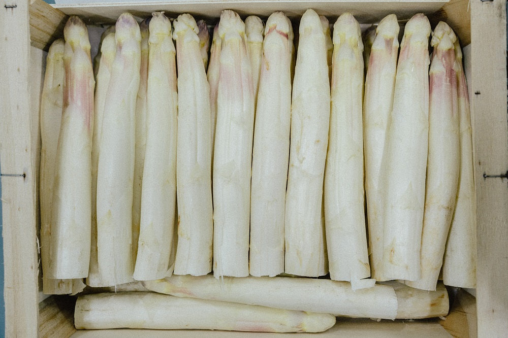 plat d'asperges blanches