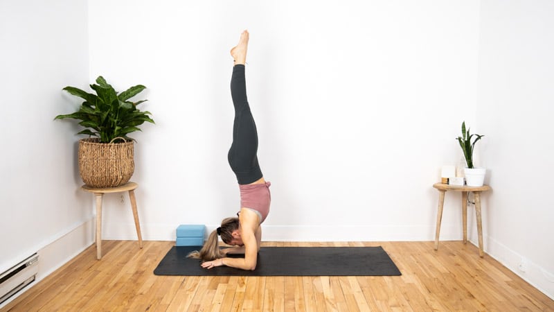 posture de yoga equilibre avant-bras pincha mayurasana