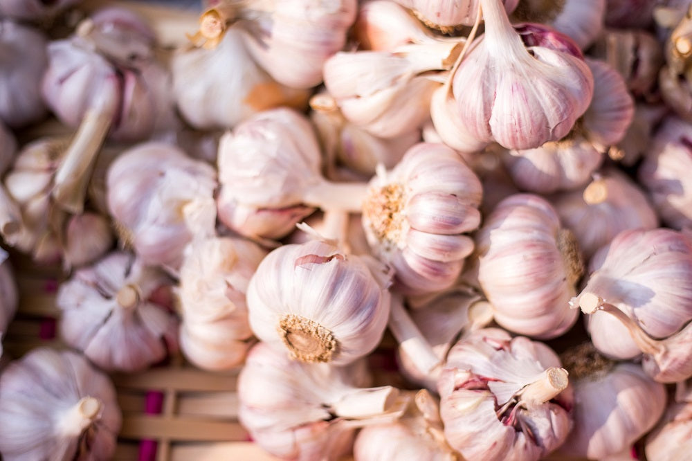 tas de têtes d'ail blanc