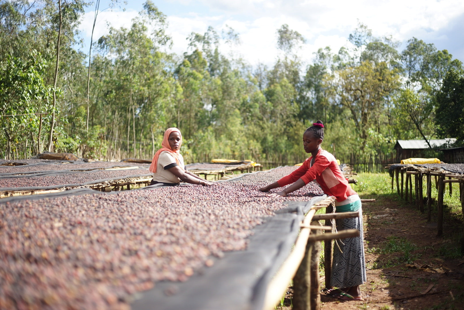 以前は年に数回、生産地を訪れていた坂尾さん。これはアフリカのルワンダを視察した時の1枚。　写真提供：オニバスコーヒー