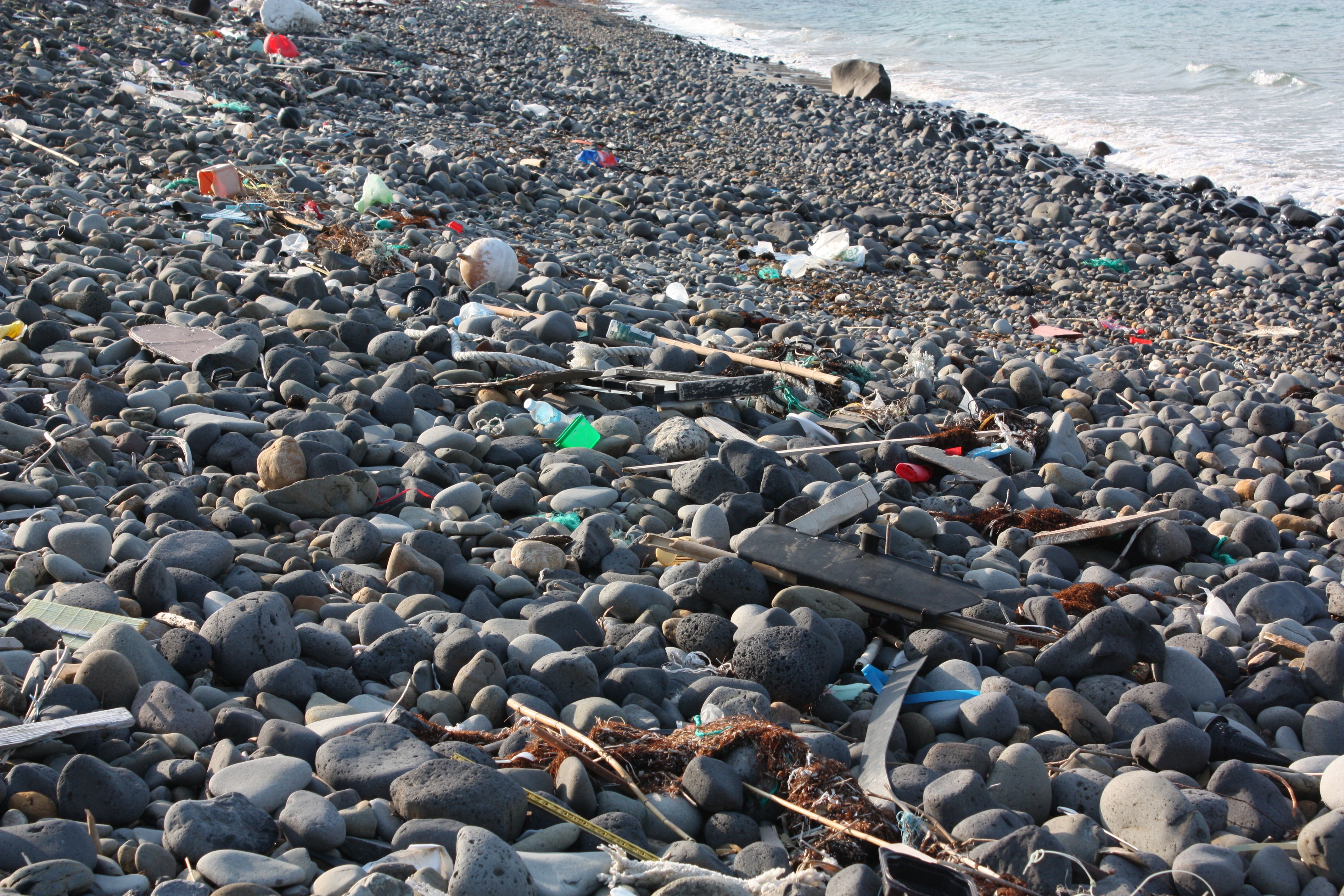たくさんのゴミが流れ着く浜。写真提供：iiiimiiii