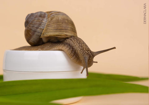 what is snail mucin