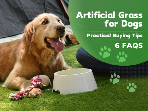 Artificial Grass for Dogs