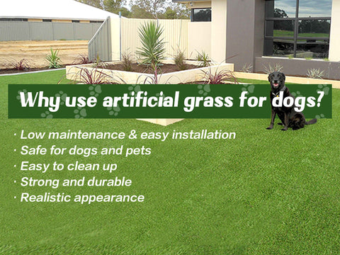 Why use artifical grass for dog