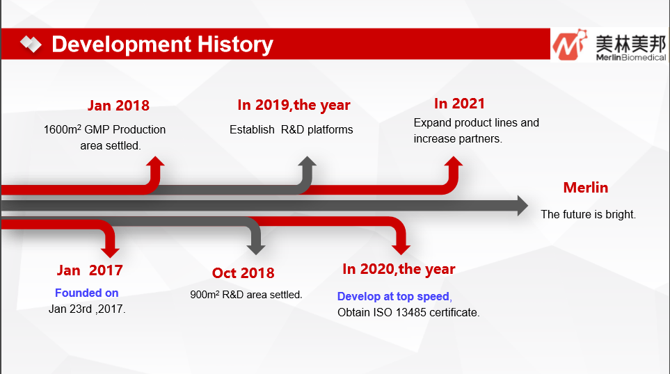 Development History