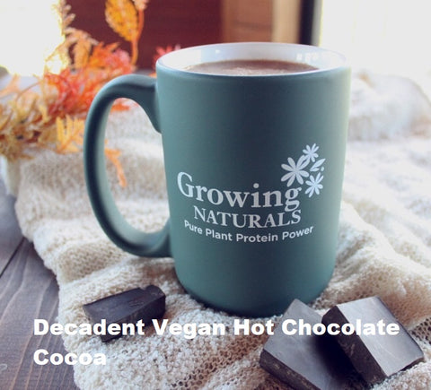 best vegan hot chocolate