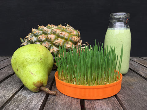 Protein powder containers. Hole in lid, ribbon to make handle. Upcycle  these