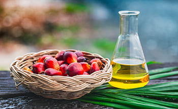 Flasche mit Palmöl