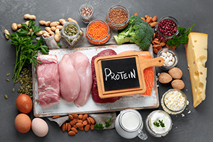 Proteinhaltige Lebensmittel