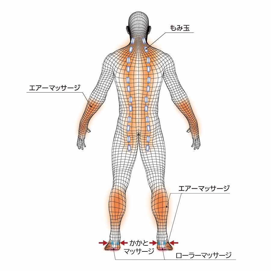 きめ細かなもみ・たたきで、首すじからお尻下までの広範囲をマッサージ