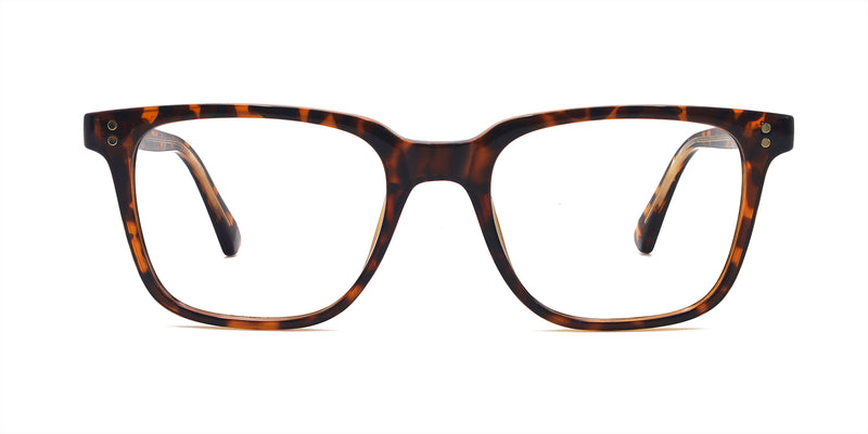boyish square tortoise brown eyeglasses frames front view