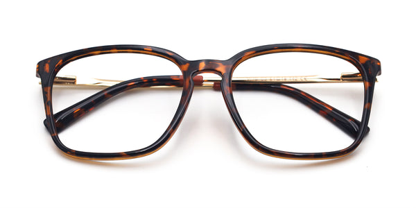 gentle square tortoise gold eyeglasses frames top view
