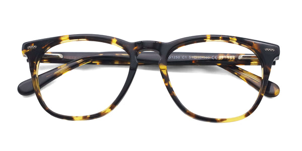 kosher square tortoise eyeglasses frames top view