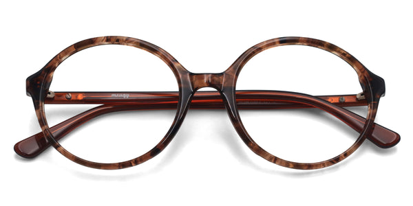 potter round tortoise eyeglasses frames top view